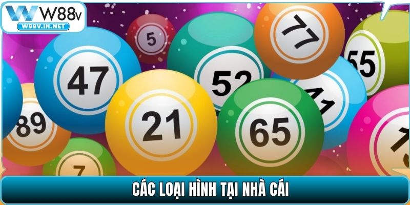 Các loại hình tại nhà cái