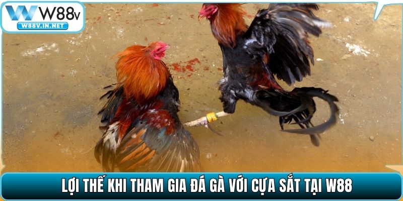 Lợi thế khi tham gia đá gà với cựa sắt tại W88