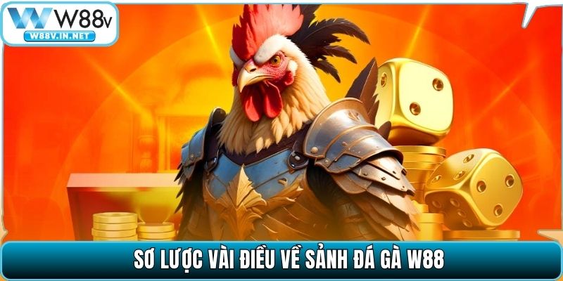Sơ lược vài điều về sảnh đá gà W88